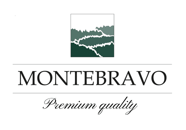 Monte Bravo Logo